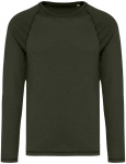 Native Spirit – Eco-friendly men's washed raglan long-sleeved t-shirt for embroidery and printing