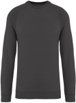 Native Spirit – Eco-friendly unisex French Terry raglan sleeved round neck sweatshirt hímzéshez és nyomtatáshoz