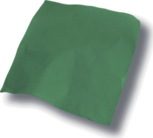 Atlantis - Bandana Goal (green)