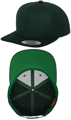 Flexfit - Classic Snapback (Spruce)