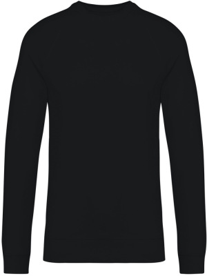 Native Spirit - Eco-friendly Unisex-Sweatshirt mit Raglanärmeln (Black)