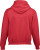 Gildan - Heavy Blend™ Youth Hooded Sweatshirt (Red)