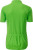 James & Nicholson - Herren Radtrikot (lime green)