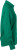 James & Nicholson - Popeline Bluse langarm (irish green)