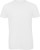 Herren T-Shirt (Herren)