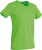 green flash
