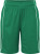 Basic Team Shorts Junior (Gyerek)