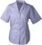 Ladies' Business Blouse Short-Sleeved (Női)