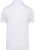 Native Spirit - Eco-friendly  men's jersey polo shirt (White)