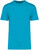 Native Spirit - Eco-friendly unisex t-shirt (Light Turquoise)