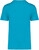 Native Spirit - Umweltfreundliches Unisex-T-Shirt (Light Turquoise)