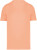 Native Spirit - Umweltfreundliches Unisex-T-Shirt (Apricot)