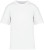 Native Spirit - Eco-friendly men's oversize t-shirt (White)
