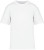 Eco-friendly men's oversize t-shirt (Férfi)