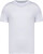 Native Spirit - Unisex-T-Shirt (White)