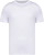 Native Spirit - Eco-friendly unisex t-shirt (White)