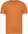 Native Spirit - Umweltfreundliches Unisex-T-Shirt (Tangerine)