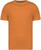 Native Spirit - Eco-friendly unisex t-shirt (Tangerine)