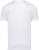 Native Spirit - Eco-friendly men's raw edge collar t-shirt (White)