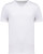 Native Spirit - Eco-friendly men's raw edge collar t-shirt (White)