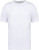 Native Spirit - Eco-friendly men's oversize t-shirt (White)