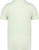 Native Spirit - Ausgewaschenes Unisex-T-Shirt mit kurzen Ärmeln (Washed Green Apple)