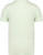 Native Spirit - Ausgewaschenes Unisex-T-Shirt mit kurzen Ärmeln (Washed Green Apple)
