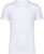 Native Spirit - Ausgewaschenes Unisex-T-Shirt mit kurzen Ärmeln (Washed white)