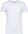 Native Spirit - Ausgewaschenes Unisex-T-Shirt mit kurzen Ärmeln (Washed white)
