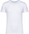 Washed white