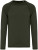 Native Spirit - Eco-friendly men's washed raglan long-sleeved t-shirt (Washed Organic Khaki)