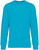 Native Spirit - Unisex-Sweatshirt – 350g (Light Turquoise)