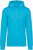 Native Spirit - Unisex-Kapuzensweatshirt – 350g (Light Turquoise)