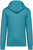 Native Spirit - Unisex-Kapuzensweatshirt – 350g (Adriatic Blue)