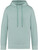 Native Spirit - Unisex eco-friendly French Terry hooded sweatshirt (Washed Jade Green)