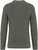 Native Spirit - Eco-friendly men’s chunky knit round neck jumper (Organic Khaki)