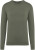 Native Spirit - Eco-friendly men’s washed round neck jumper (Washed Organic Khaki)