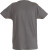 Printer Active Wear - Heavy T-Shirt RSX (grau)