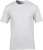 Premium Cotton T-Shirt (Men)