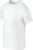Gildan - Softstyle T- Shirt (White)