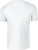 Gildan - Softstyle T- Shirt (White)