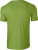 Gildan - Softstyle T- Shirt (Kiwi)