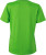 James & Nicholson - Ladies' Active-T (Lime Green)