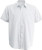 Mens Short Sleeve Easy Care Cotton Poplin Shirt (Men)